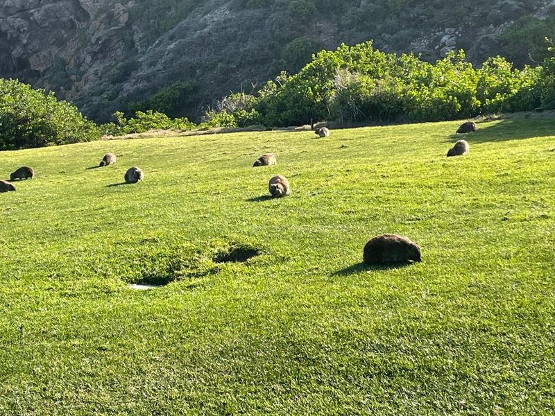 4 Bedroom Property for Sale in Pinnacle Point Golf Estate Western Cape